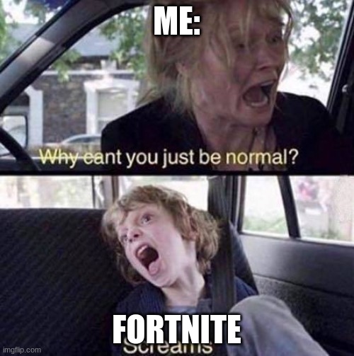 Why Can't You Just Be Normal | ME: FORTNITE | image tagged in why can't you just be normal | made w/ Imgflip meme maker