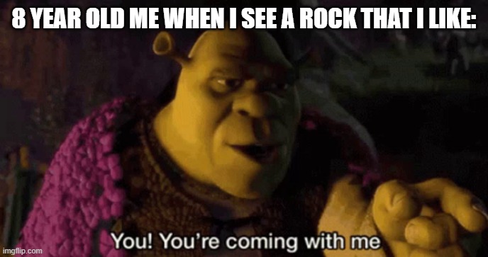 Shrek your coming with me | 8 YEAR OLD ME WHEN I SEE A ROCK THAT I LIKE: | image tagged in shrek your coming with me | made w/ Imgflip meme maker