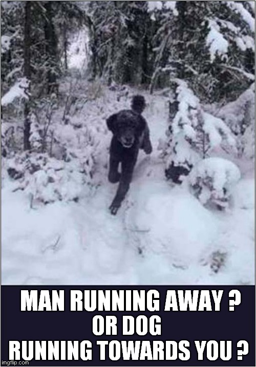 What Do You See First | OR DOG
 RUNNING TOWARDS YOU ? MAN RUNNING AWAY ? | image tagged in optical illusion | made w/ Imgflip meme maker