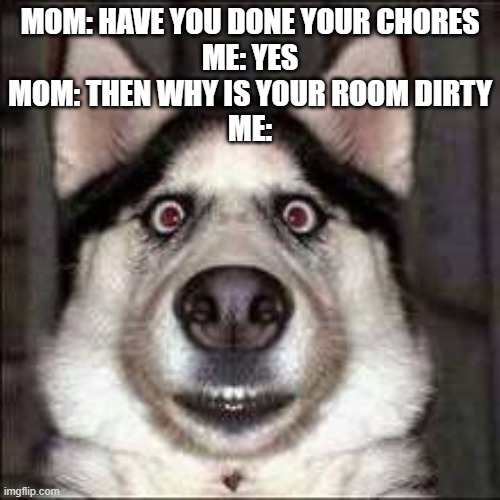 doggo | MOM: HAVE YOU DONE YOUR CHORES
ME: YES
MOM: THEN WHY IS YOUR ROOM DIRTY
ME: | image tagged in doggo | made w/ Imgflip meme maker