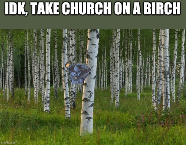 birch trees | IDK, TAKE CHURCH ON A BIRCH | image tagged in birch trees | made w/ Imgflip meme maker