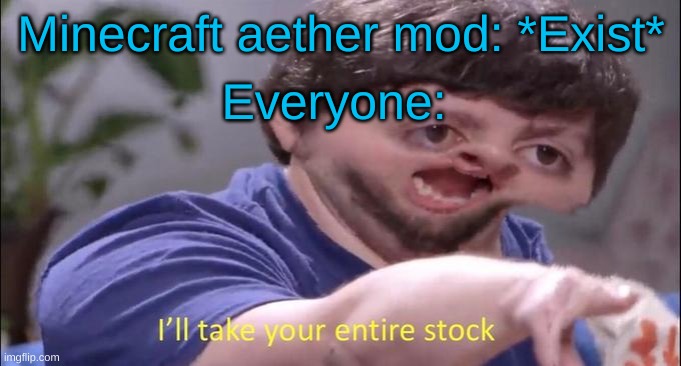 I'll take your entire stock | Minecraft aether mod: *Exist*; Everyone: | image tagged in i'll take your entire stock | made w/ Imgflip meme maker