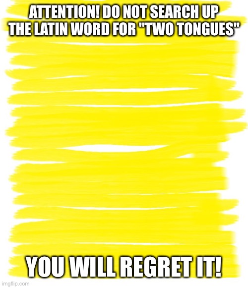 Will you | ATTENTION! DO NOT SEARCH UP THE LATIN WORD FOR "TWO TONGUES"; YOU WILL REGRET IT! | image tagged in attention yellow background,duolingo,duo lingua,memes,two tongues | made w/ Imgflip meme maker