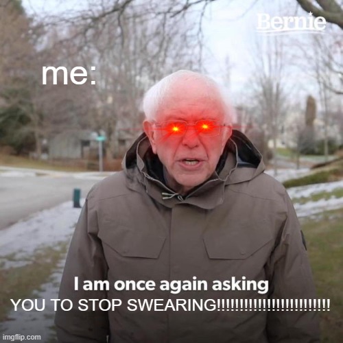 me: YOU TO STOP SWEARING!!!!!!!!!!!!!!!!!!!!!!!!! | image tagged in memes,bernie i am once again asking for your support | made w/ Imgflip meme maker