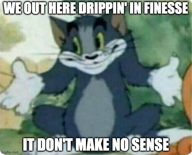 Tom Shrugging | WE OUT HERE DRIPPIN' IN FINESSE; IT DON'T MAKE NO SENSE | image tagged in tom shrugging,cat,funni | made w/ Imgflip meme maker