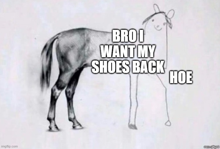 Horse Drawing | BRO I WANT MY SHOES BACK HOE | image tagged in horse drawing | made w/ Imgflip meme maker