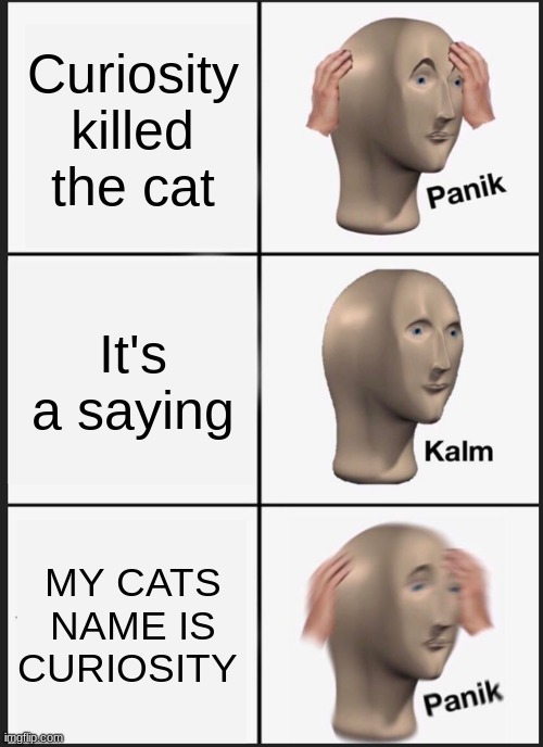 Panik Kalm Panik | Curiosity killed the cat; It's a saying; MY CATS NAME IS CURIOSITY | image tagged in memes,panik kalm panik | made w/ Imgflip meme maker