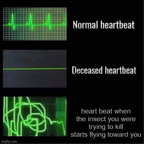 e | heart beat when the insect you were trying to kill starts flying toward you | image tagged in heart beat meme template | made w/ Imgflip meme maker