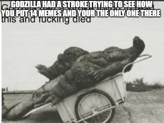 Godzilla | GODZILLA HAD A STROKE TRYING TO SEE HOW YOU PUT 14 MEMES AND YOUR THE ONLY ONE THERE | image tagged in godzilla | made w/ Imgflip meme maker
