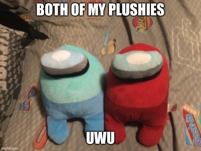 Hug my plushies | BOTH OF MY PLUSHIES; UWU | image tagged in hug my plushies | made w/ Imgflip meme maker