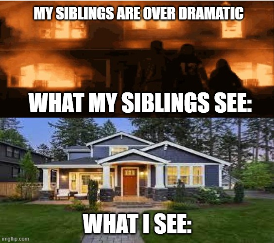 Fire, no fire | MY SIBLINGS ARE OVER DRAMATIC; WHAT MY SIBLINGS SEE:; WHAT I SEE: | image tagged in fire no fire | made w/ Imgflip meme maker