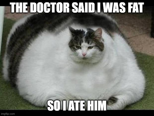 i ate em | THE DOCTOR SAID I WAS FAT; SO I ATE HIM | image tagged in fat cat 2 | made w/ Imgflip meme maker