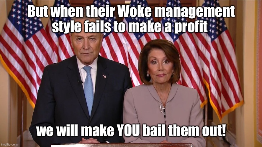 Chuck and Nancy | But when their Woke management style fails to make a profit we will make YOU bail them out! | image tagged in chuck and nancy | made w/ Imgflip meme maker