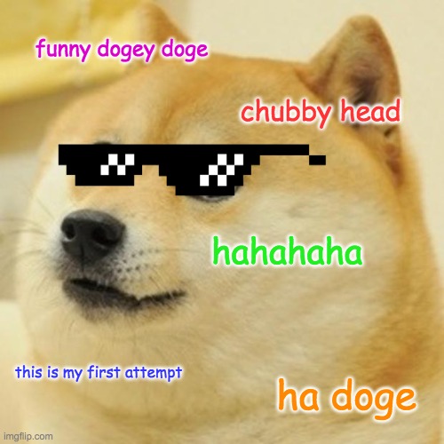 Doge Meme | funny dogey doge; chubby head; hahahaha; this is my first attempt; ha doge | image tagged in memes,doge | made w/ Imgflip meme maker