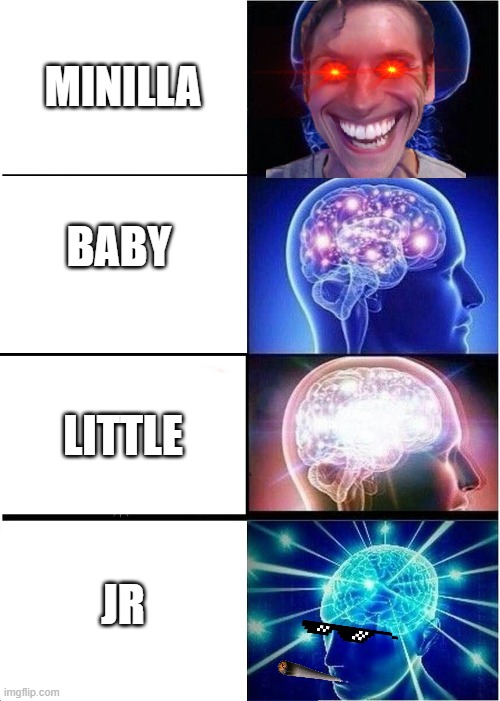 Expanding Brain | MINILLA; BABY; LITTLE; JR | image tagged in memes,expanding brain | made w/ Imgflip meme maker