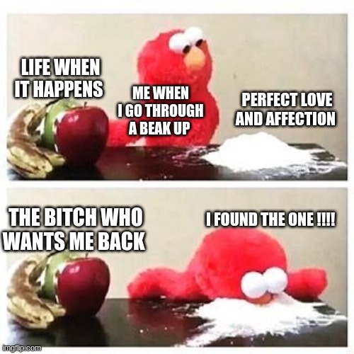 elmo when he finds the one | LIFE WHEN IT HAPPENS; PERFECT LOVE AND AFFECTION; ME WHEN I GO THROUGH A BEAK UP; THE BITCH WHO WANTS ME BACK; I FOUND THE ONE !!!! | image tagged in elmo cocaine | made w/ Imgflip meme maker
