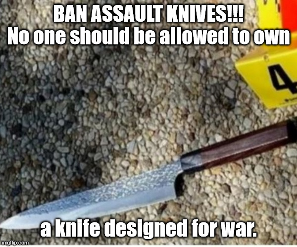 Ban Assault Knives | BAN ASSAULT KNIVES!!!
No one should be allowed to own; a knife designed for war. | image tagged in ban knives,assault knife | made w/ Imgflip meme maker