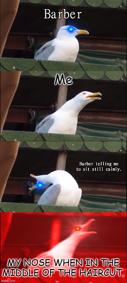 Inhaling Seagull Meme | Barber Me Barber telling me to sit still calmly. MY NOSE WHEN IN THE MIDDLE OF THE HAIRCUT. | image tagged in memes,inhaling seagull | made w/ Imgflip meme maker