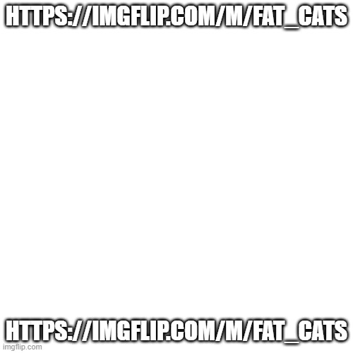 https://imgflip.com/m/Fat_cats | HTTPS://IMGFLIP.COM/M/FAT_CATS; HTTPS://IMGFLIP.COM/M/FAT_CATS | image tagged in memes,blank transparent square | made w/ Imgflip meme maker