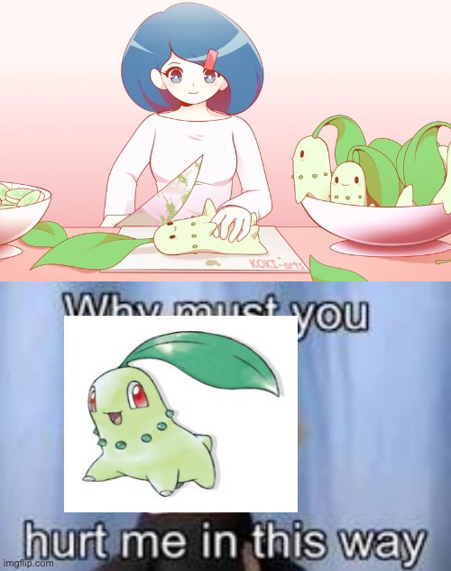Say No To Chikorita Abuse ( SNTCA ) #BoycottChikoritaSalads | image tagged in why must you hurt me in this way,salad,salad cat,salad fingers | made w/ Imgflip meme maker
