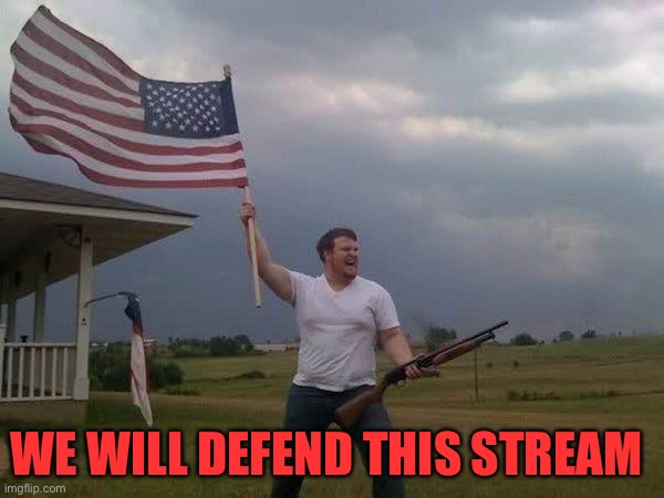 American flag shotgun guy | WE WILL DEFEND THIS STREAM | image tagged in american flag shotgun guy | made w/ Imgflip meme maker