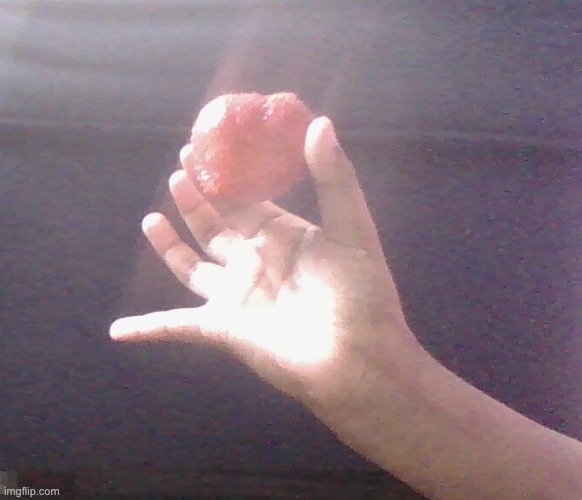 Big, Unusual straberry | image tagged in big unusual straberry | made w/ Imgflip meme maker