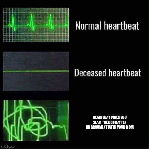 oof | HEARTBEAT WHEN YOU SLAM THE DOOR AFTER AN ARGUMENT WITH YOUR MOM | image tagged in heart beat meme template | made w/ Imgflip meme maker