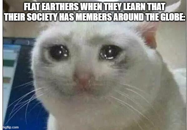 Not so flat now, is it? | FLAT EARTHERS WHEN THEY LEARN THAT THEIR SOCIETY HAS MEMBERS AROUND THE GLOBE: | image tagged in crying cat,memes | made w/ Imgflip meme maker