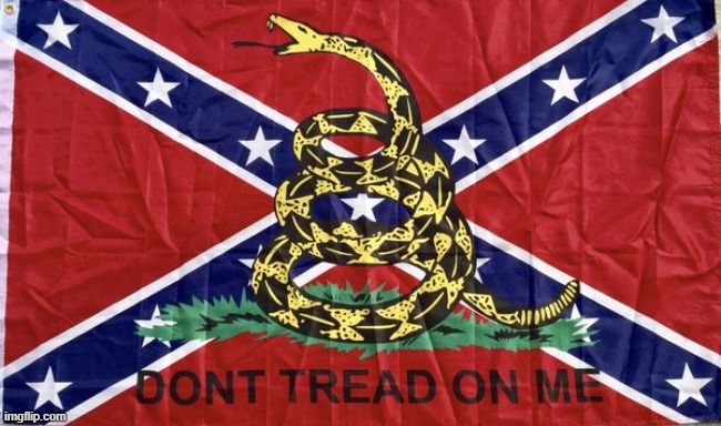 Confederate Gadsden flag | image tagged in confederate gadsden flag | made w/ Imgflip meme maker