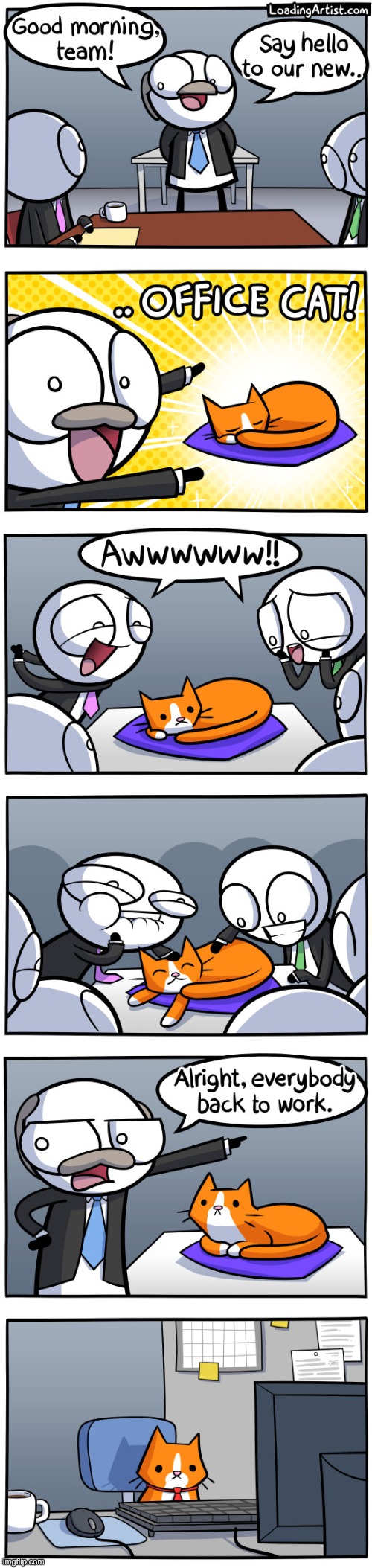 image tagged in funny,cats,comics | made w/ Imgflip meme maker