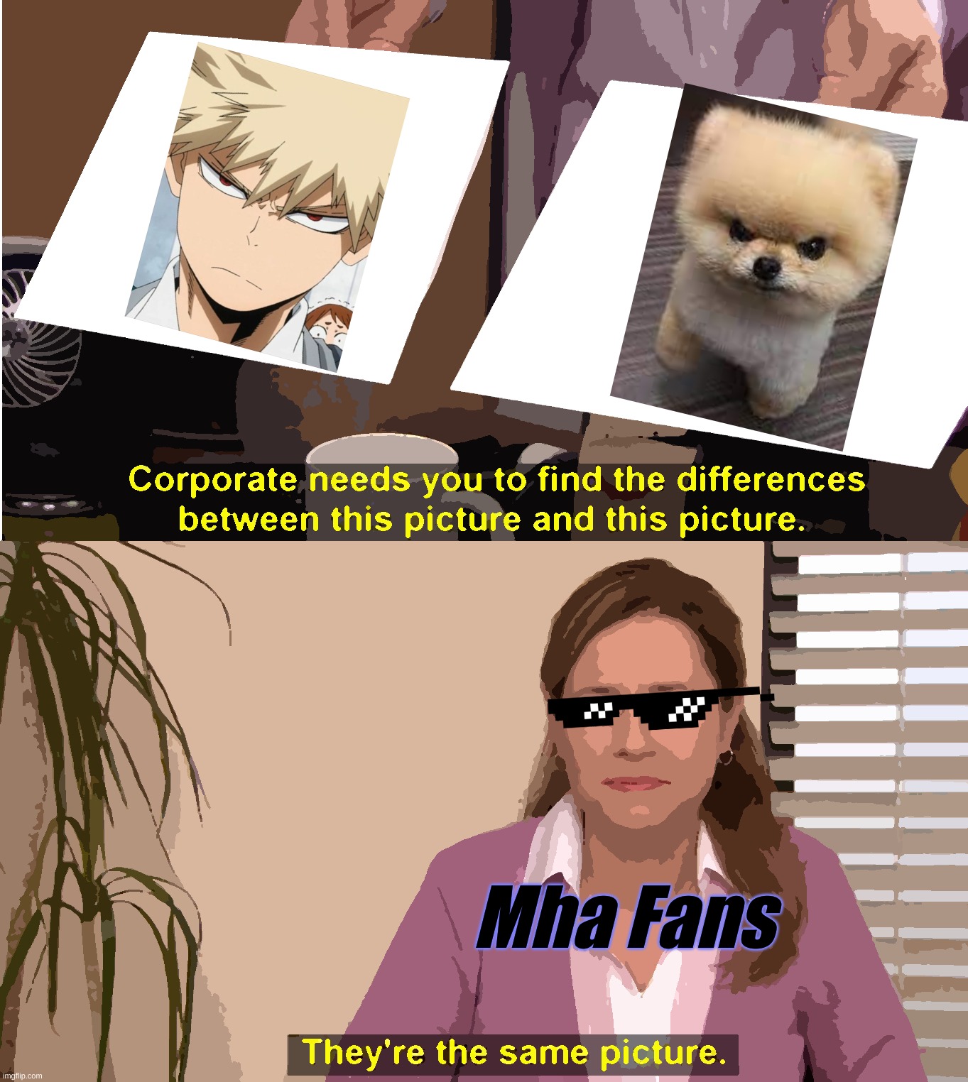 Yes |  Mha Fans | image tagged in memes,they're the same picture,mha,bakugo,pomeranian | made w/ Imgflip meme maker