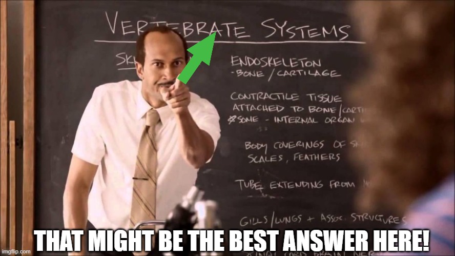 Key and Peele Substitute Teacher | THAT MIGHT BE THE BEST ANSWER HERE! | image tagged in key and peele substitute teacher | made w/ Imgflip meme maker