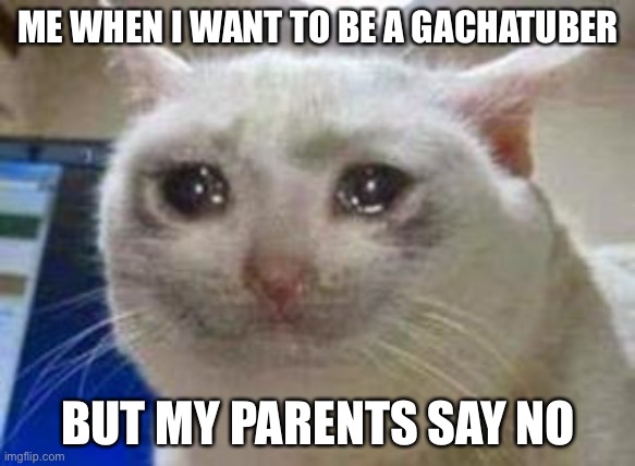 Sadness | ME WHEN I WANT TO BE A GACHATUBER; BUT MY PARENTS SAY NO | image tagged in sad cat,gacha life,youtuber,gachatuber | made w/ Imgflip meme maker