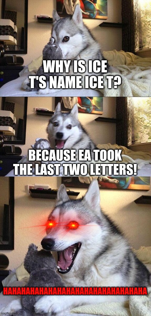 Bad Pun Dog | WHY IS ICE T'S NAME ICE T? BECAUSE EA TOOK THE LAST TWO LETTERS! HAHAHAHAHAHAHAHAHAHAHAHAHAHAHAHA | image tagged in memes,bad pun dog | made w/ Imgflip meme maker