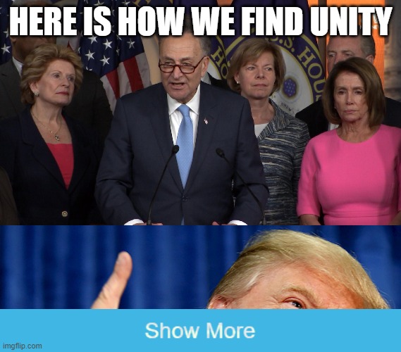 Unity | HERE IS HOW WE FIND UNITY | image tagged in democrat congressmen,donald trump | made w/ Imgflip meme maker