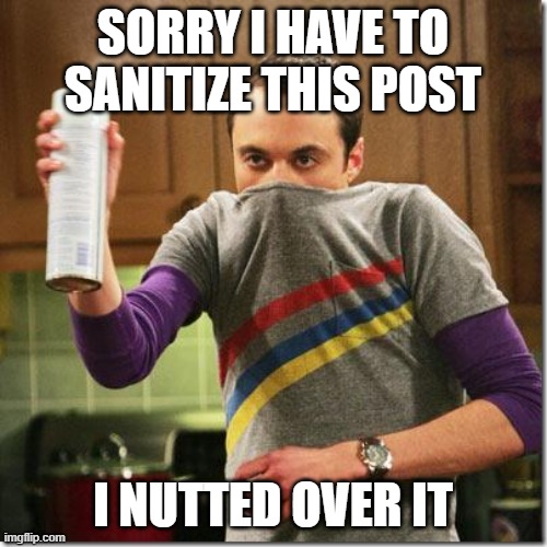 air freshener sheldon cooper | SORRY I HAVE TO SANITIZE THIS POST I NUTTED OVER IT | image tagged in air freshener sheldon cooper | made w/ Imgflip meme maker