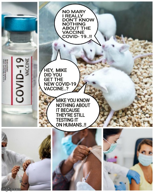 MIKE YOU KNOW  NOTHING ABOUT  IT BECAUSE THEY'RE STILL TESTING IT ON HUMANS..!! | image tagged in covid-19,corona virus,vaccines,lab rat,human stupidity,memes | made w/ Imgflip meme maker