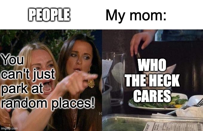 My mom keeps parking at random places | PEOPLE; My mom:; WHO THE HECK CARES; You can't just park at random places! | image tagged in memes,woman yelling at cat | made w/ Imgflip meme maker