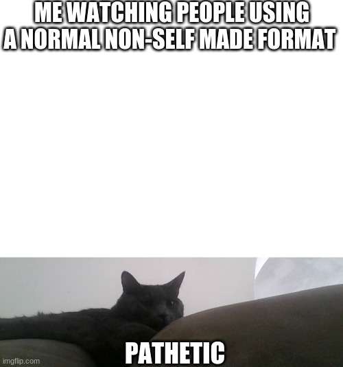 ME WATCHING PEOPLE USING A NORMAL NON-SELF MADE FORMAT; PATHETIC | image tagged in blank white template | made w/ Imgflip meme maker