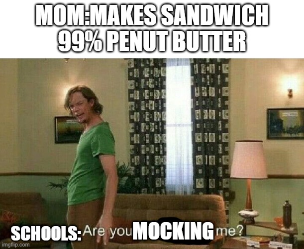 Are you challenging me? | MOM:MAKES SANDWICH 99% PENUT BUTTER; MOCKING; SCHOOLS: | image tagged in are you challenging me | made w/ Imgflip meme maker