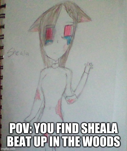 Bio in comments | POV: YOU FIND SHEALA BEAT UP IN THE WOODS | image tagged in roleplaying,art,trash art | made w/ Imgflip meme maker