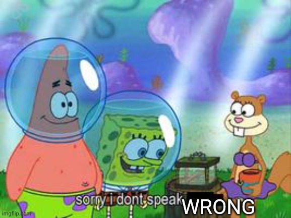 Sorry I don't speak ____ | WRONG | image tagged in sorry i don't speak ____ | made w/ Imgflip meme maker