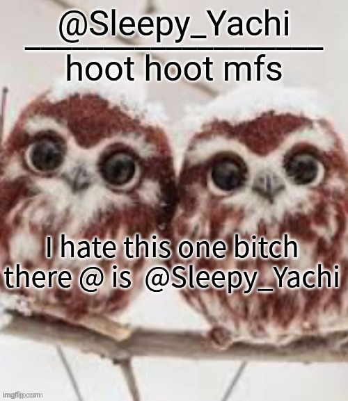 Yachi's owl temp | I hate this one bitch there @ is  @Sleepy_Yachi | image tagged in yachi's owl temp | made w/ Imgflip meme maker