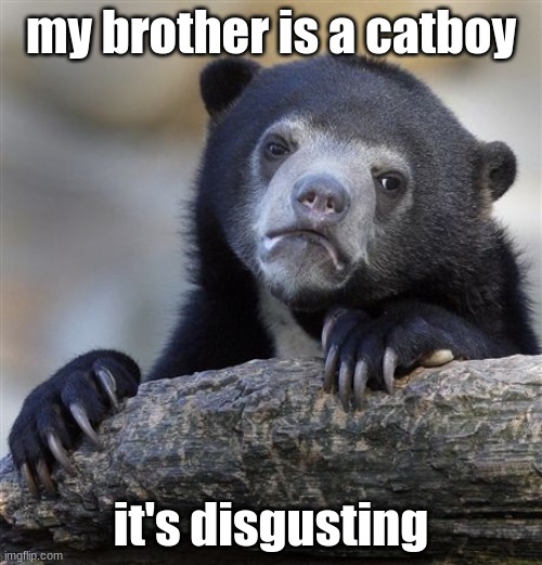 why | my brother is a catboy; it's disgusting | image tagged in memes,confession bear | made w/ Imgflip meme maker