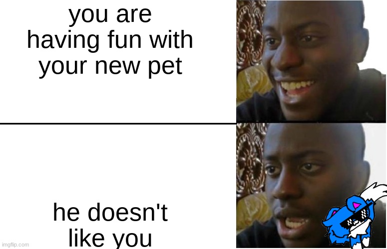 Disappointed Black Guy | you are having fun with your new pet; he doesn't like you | image tagged in disappointed black guy | made w/ Imgflip meme maker