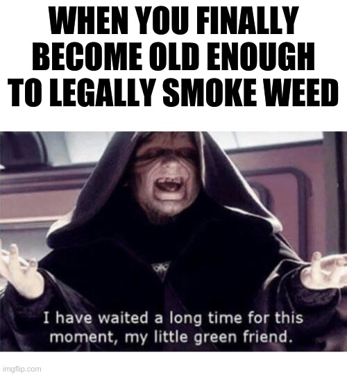 I have waited along time for this moment my little green friend | WHEN YOU FINALLY BECOME OLD ENOUGH TO LEGALLY SMOKE WEED | image tagged in i have waited along time for this moment my little green friend | made w/ Imgflip meme maker