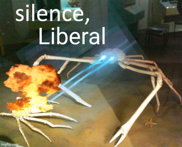 Silence Crab | Liberal | image tagged in silence crab | made w/ Imgflip meme maker