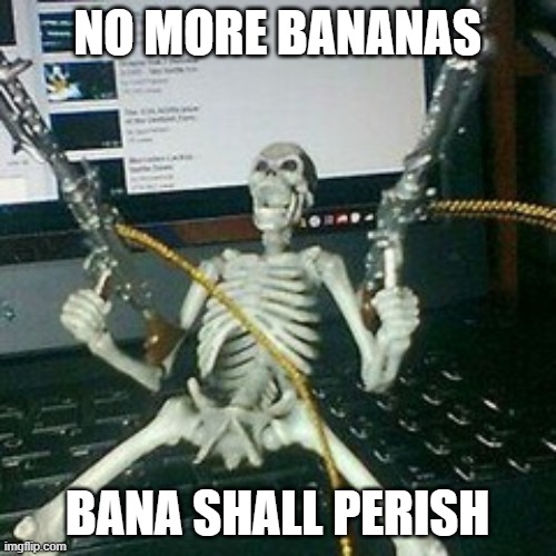 skeleton with guns | NO MORE BANANAS BANA SHALL PERISH | image tagged in skeleton with guns | made w/ Imgflip meme maker