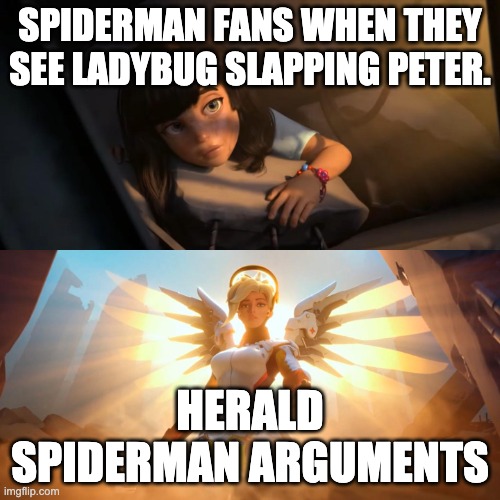 Vs debating | SPIDERMAN FANS WHEN THEY SEE LADYBUG SLAPPING PETER. HERALD SPIDERMAN ARGUMENTS | image tagged in overwatch mercy meme,spiderman,ladybug | made w/ Imgflip meme maker