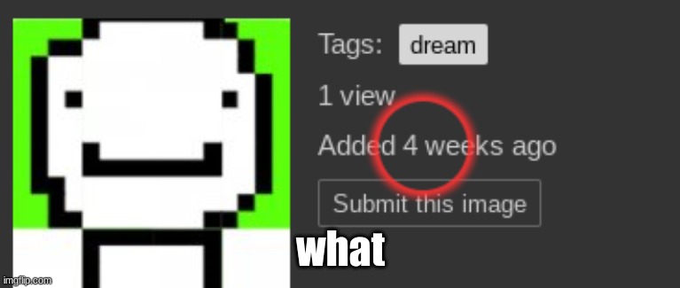 um | what | image tagged in what | made w/ Imgflip meme maker